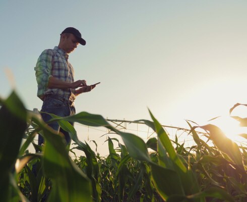 Partnersuche Landwirtschaft